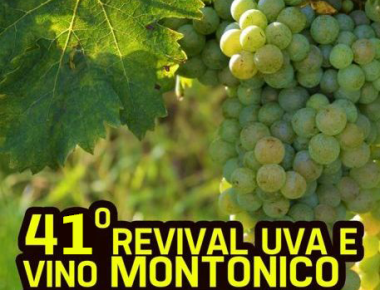 41° Revival dell'uva e del vino Montonico