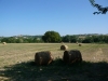 Santomero